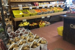 Photo-Jan-26-7-17-27-AM