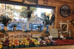 Photo-Jan-26-7-17-43-AM