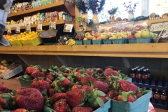 Photo-Jan-26-7-18-35-AM